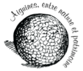 Bouloe Logo